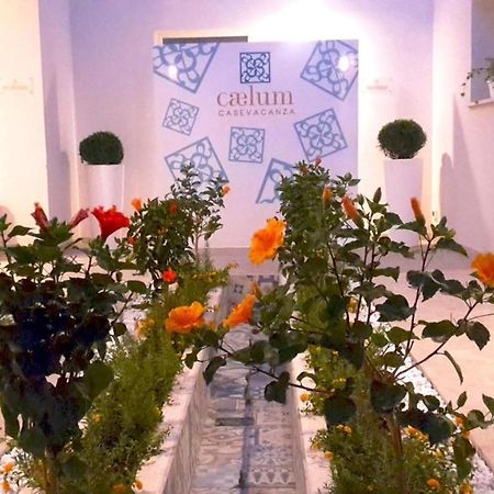 Caelum Case Vacanza Trapani Extérieur photo